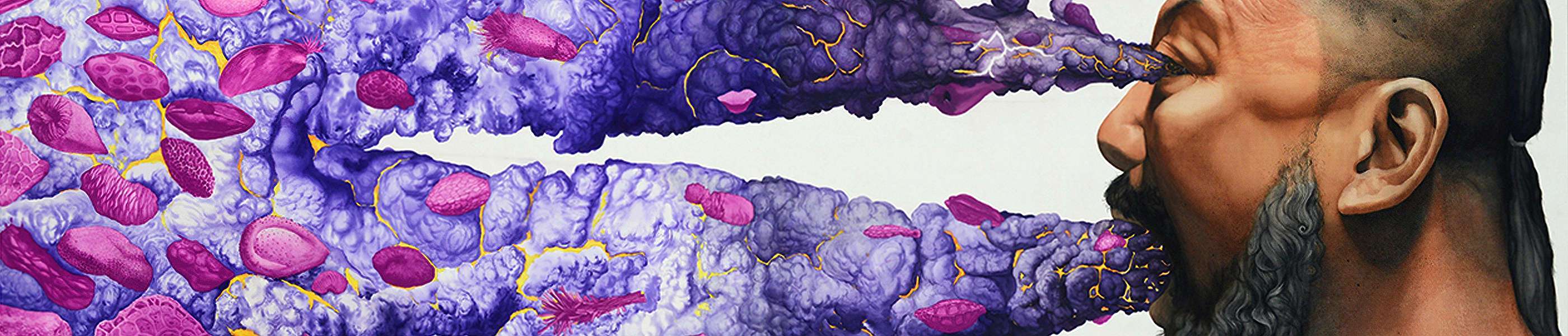 Concealed Energy Silk Coloring header image